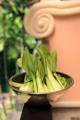 Fresh Bok Choy in Bowl with Tropical Leaves Background for Healthy Food Concept