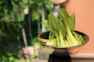 Fresh Bok Choy in Bowl with Tropical Leaves Background for Healthy Food Concept