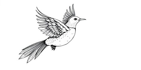 Fototapeta premium Intricate black ink line drawing of a stylized bird in flight, vector, simple