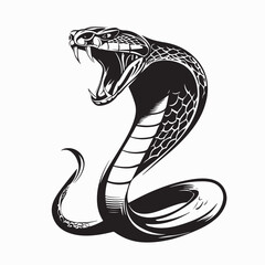 Fototapeta premium A snake attacking with its mouth open image vector on white background