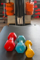Fototapeta premium Colorful dumbbells resting on a gym bench, bright red, blue and yellow weights for strength training and workouts, symbolizing fitness, dedication and healthy lifestyle