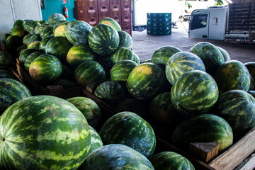 Marilia, SP, Brazil, October 16, 2025. Fresh watermelons stacked in crates at the CEAGESP wholesale...