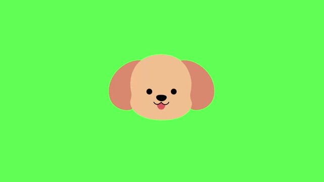 Cute dog head with floppy ears on green screen