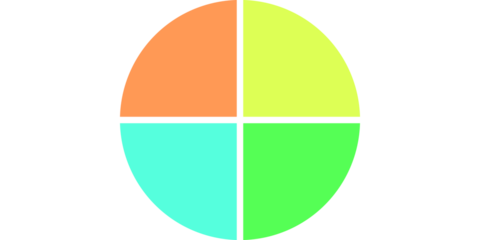 Set of Twelve Colorful Infographic Circle Charts with Two Three Four and Eight Segments for Data Visualization