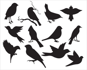 Obraz premium Collection of black silhouettes of various bird species