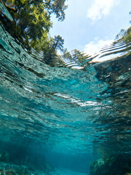 Underwater perspective looking up at a flowing river surface, distorted reflections of trees and sky, immersive natural viewpoint.