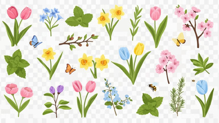 Spring Flowers Collection Botanical Elements and Insects.