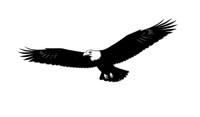 Naklejka premium Bald eagle flying silhouette vector illustration isolated on white background