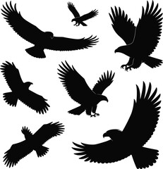 Obraz premium eagle, silhouettes, flying, birds, wildlife, predator, wings, nature, raptor, freedom, sky, animal, black, figures, isolated, white, background, vector, illustration, collection