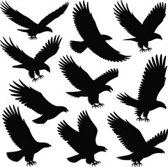 Obraz premium Collection of eagle silhouettes, flying bird of prey shapes isolated on white background for wildlife, nature illustration, freedom, and graphic design concepts