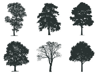 Obraz premium Elegant vector silhouettes of diverse trees, perfect for graphic design, environmental projects, and natural landscape illustrations