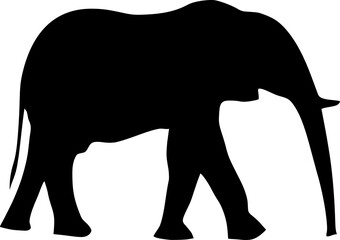 elephant silhouette isolated on white