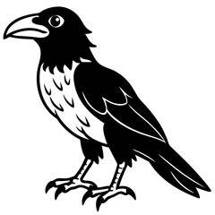 Obraz premium crow on a white background