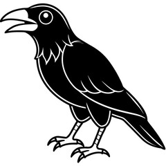 Obraz premium crow on a branch