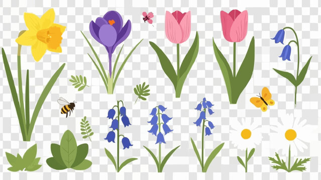 Spring Flowers Collection Daffodil Tulip Crocus Bluebell Daisy.