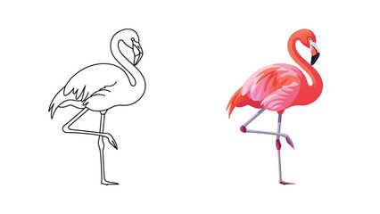 Obraz premium Collection of two flamingo illustrations one featuring a simple black outline drawing and the other a vibrant colored tropical bird standing on one leg