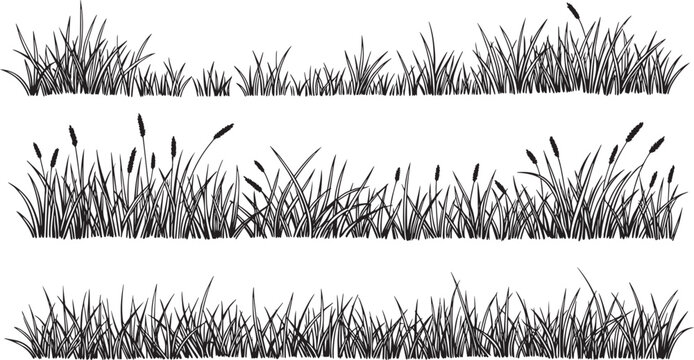 Black silhouette horizontal borders tall grass reeds cattail nature meadow