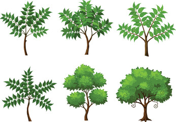 Cartoon tree collection illustration, various green tree types, forest foliage clipart, summer vegetation graphics, botanical plant set, isolated nature © Selim Creatives
