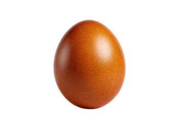 A large, brown egg sits on a white background. The egg is the main focus of the image, and it is the only object in the scene. The egg's size and color contrast with the white background, png