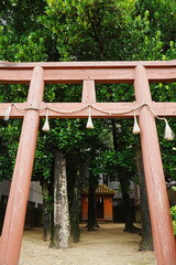 Fototapeta premium Nagata Utaki in Okinawa, Japan - 日本 沖縄 石垣 長田御嶽 