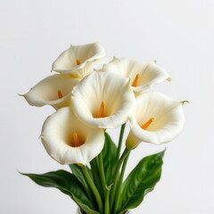 Fototapeta premium Elegant White Calla Lilies Bouquet