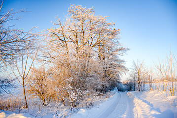 Obraz premium Beautiful landscape on a frosty morning