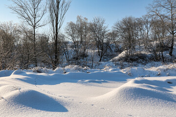 Obraz premium Winter landscape with snow-covered forest and blue sky in sunny day