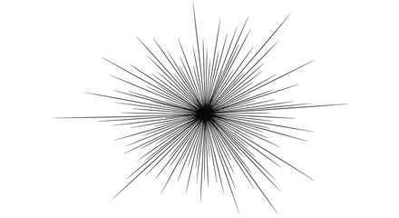 Fototapeta premium Many thin black lines radiate outwards from a central point to create a sharp and explosive starburst effect on a white canvas.