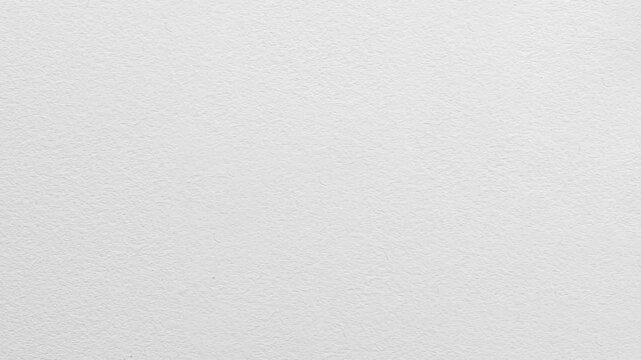 Minimal White Paper Texture Background,A clean, static black and white abstract background
