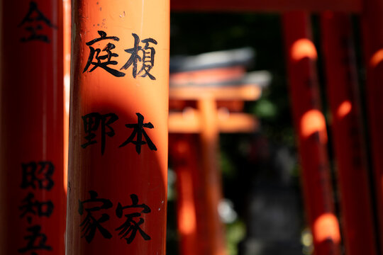 Torii Gates at Nezu Shrine in Tokyo, Japan
