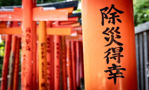 Torii Gates at Nezu Shrine in Tokyo, Japan