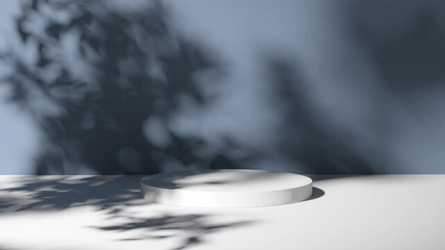 Copy space for product presentation. Summer background scene with shadow on wall and table. 3d render. 