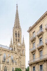 Fototapeta premium Good Shepherd Cathedral (Catedral del Buen Pastor), San Sebastian, Spain