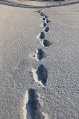 Human footprints in the snow on a sunny day, close-up
