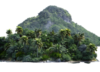 Tropical island with palm trees and mountain isolated on a transparent background