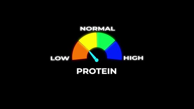 Protein Level Gauge Meter Animation, Low Normal High Infographic Chart for Health and Nutrition 4k video.