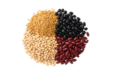 Four types of beans arranged in a circle isolated on transparent background