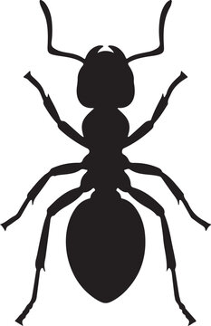 Fire Ant Silhouette on White Background