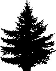Fototapeta premium Conifer tree silhouette cut out on white background