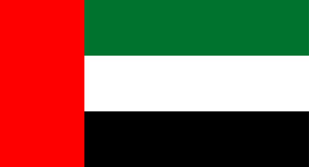 United Arab Emirates national flag representing the country