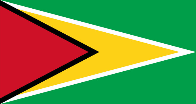Guyana national flag displaying green, yellow and red colors