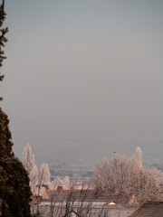 frozen lake in winter