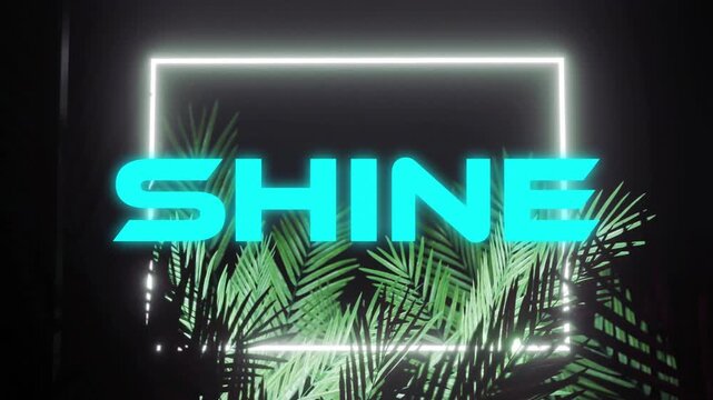 SHINE text with glowing neon frame over tropical palm leaves
