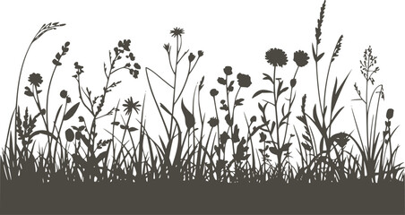 Minimalist black silhouette of wildflowers and grass in a field © Md