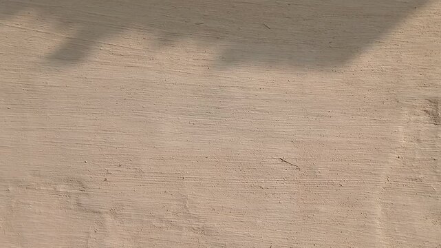 Texture of a mud wall.