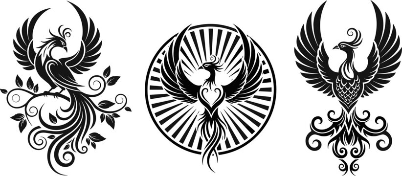Phoenix illustration set, black and white vector art, perched, radiant, and ornamental styles, mythical bird design for tattoo or logo