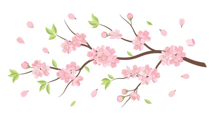 Blooming Cherry Blossom Branch with Falling Petals, Springtime Floral Illustration