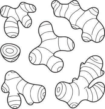 Minimalist black and of ginger root pieces with rings and knobs