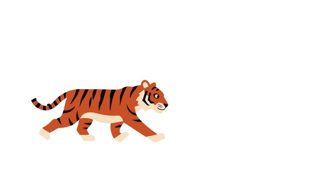 Video Walking Tiger Animation