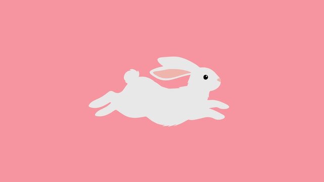 Video Rabbit Vector Animation
